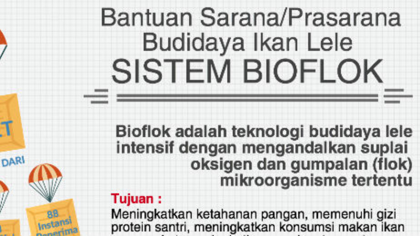 NARASI TUNGGAL: Lele Bioflok, Solusi Penuhi Kebutuhan Gizi Masyarakat