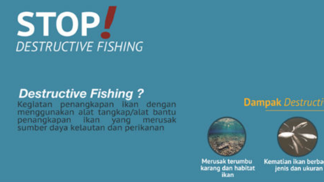 NARASI TUNGGAL: Menjaga Laut Dari Ancaman Destructive Fishing
