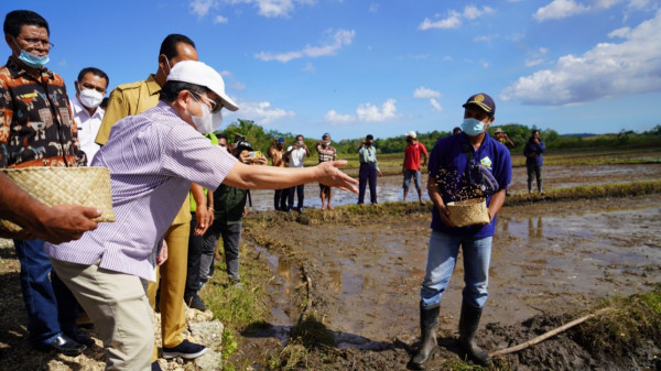 Awali Kunjungan Kerja Sumba, Menteri Suharso Tinjau Bendungan Kambaniru Hingga Food Estate Sumba Tengah