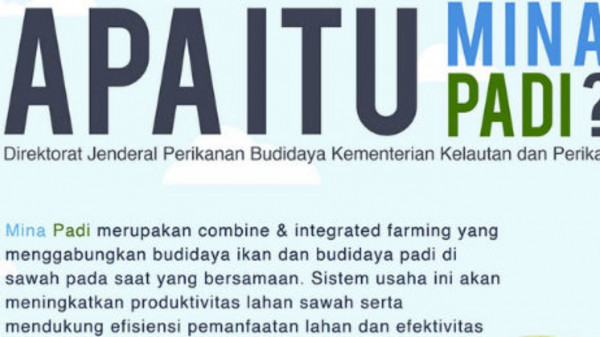 Mina Padi: Optimalkan Lahan Sawah, Dorong Produktivitas Perikanan Budidaya